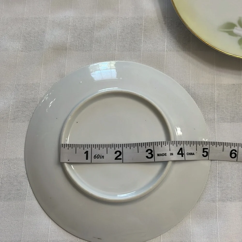 Antique delicate white floral design on porcelain plates RS Tillowitz Germany